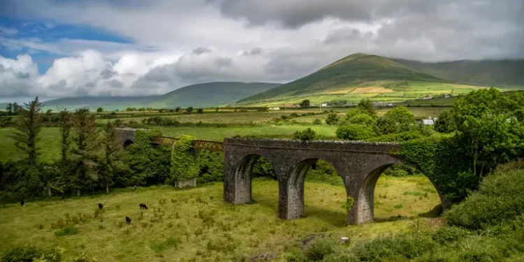 “Тут неможливо жити”: українка розповіла про складнощі життя в Ірландії