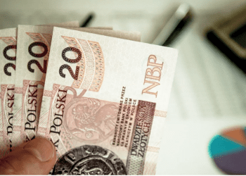 Мацей Дущик: виплата 800+ не може бути прив’язана до сплати податків