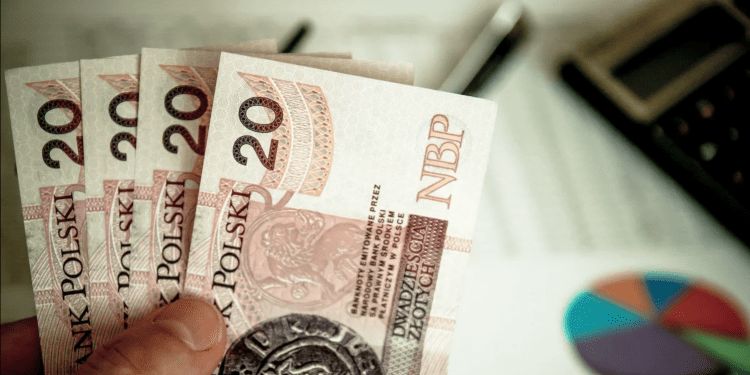 Мацей Дущик: виплата 800+ не може бути прив’язана до сплати податків