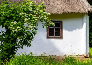 Українська іммігрантка залишила США та переїхала в мазанку на хуторі.