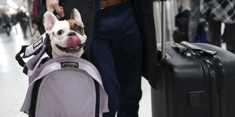 До якої країни мріють переїхати біженці з усього світу: це не США