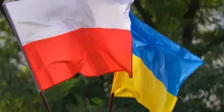 У Польщі започаткували масштабну програму професійної підтримки українських фахівців