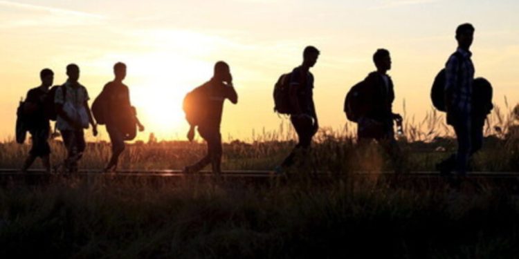 В Україні посилять відповідальність за організацію незаконної міграції: чи вплине це на українських біженців