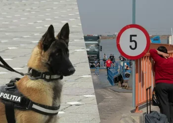 Щоб не отримати штраф: які речі категорично заборонено вести у Румунію