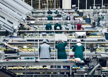 Стало відомо, яка країна Європи є лідером за зайнятістю українців