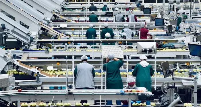 Стало відомо, яка країна Європи є лідером за зайнятістю українців