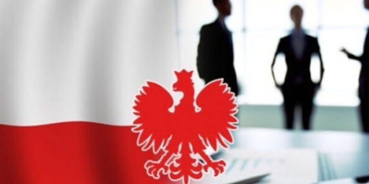 За підсумками 2025 року громадяни України зареєстрували в Польщі рекордну кількість бізнесів